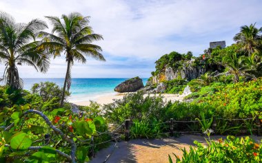 Antik Tulum 'daki doğal deniz manzaralı kayalar, Tulum' daki tropikal doğal orman palmiyesinde tapınak kalıntıları ve sanat eserleriyle Maya bölgesini harabeye çevirir..