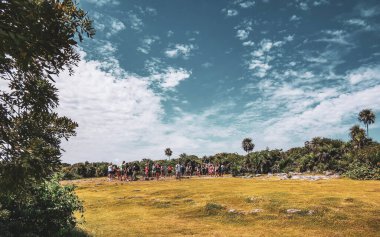 Tulum Quintana Roo Mexico 20. Ekim 2023 Tulum antik Tulum 'daki tropik doğal orman palmiye ağaçları Tulum Meksika' daki tapınak kalıntıları ve piramitlerle Maya bölgesini harabeye çevirir..