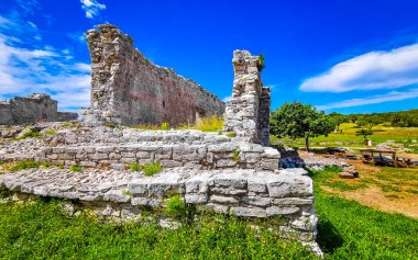 Tulum Quintana Roo Mexico 20. Ekim 2023 'te Antik Tulum, Tulum Meksika' daki tropik doğal orman palmiyeleri manzarasında tapınak kalıntıları ve eserlerle Maya bölgesini harap etti..