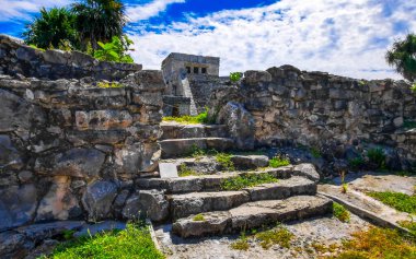 Antik Tulum, Tulum Meksika 'daki tropikal doğal orman palmiyeleri manzarasında kale piramidi ve törensel bina olan El Castillo tapınağı ile Maya bölgesini harabeye çeviriyor..
