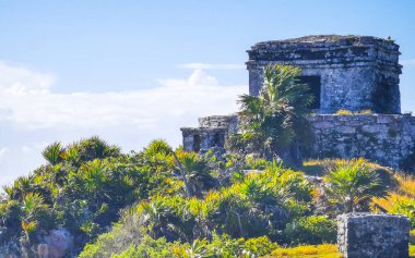 Antik Tulum 'daki doğal deniz manzarası ve sahil manzarası Tulum Meksika' daki tropik doğal orman palmiyesinde rüzgarın tapınağıyla Maya bölgesini harabeye çevirir..