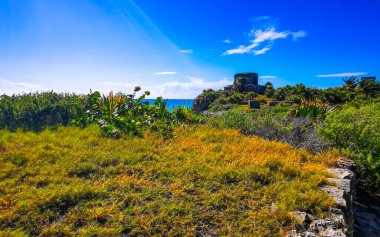 Antik Tulum 'daki doğal deniz manzarası ve sahil manzarası Tulum Meksika' daki tropik doğal orman palmiyesinde rüzgarın tapınağıyla Maya bölgesini harabeye çevirir..