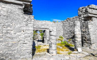 Antik Tulum, Tulum Meksika 'daki tropik doğal orman palmiyeleri manzarasında tapınak kalıntıları ve eserlerle Maya bölgesini harabeye çeviriyor..