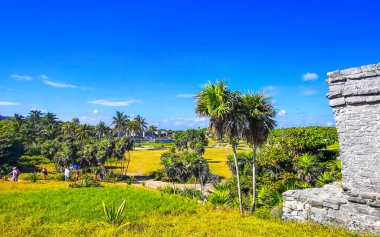 Tulum Quintana Roo Mexico 30. Ekim 2023 'te Antik Tulum, Tulum Meksika' daki tropik doğal orman palmiyeleri manzarasında tapınak kalıntıları ve eserlerle Maya bölgesini harap etti..