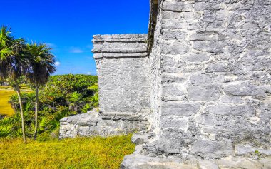 Antik Tulum, Tulum Meksika 'daki tropik doğal orman palmiyeleri manzarasında tapınak kalıntıları ve eserlerle Maya bölgesini harabeye çeviriyor..