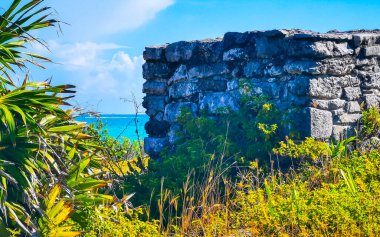 Antik Tulum, Tulum Meksika 'nın tropikal doğal palmiye ağaçları manzarasında rüzgar tanrısının tapınağı ile Maya bölgesini harap eder..