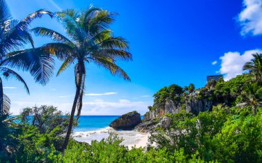 Antik Tulum 'daki doğal deniz manzaralı kayalar, Tulum' daki tropikal doğal orman palmiyesinde tapınak kalıntıları ve sanat eserleriyle Maya bölgesini harabeye çevirir..