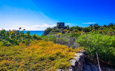 Antik Tulum 'daki doğal deniz manzarası ve sahil manzarası Tulum Meksika' daki tropik doğal orman palmiyesinde rüzgarın tapınağıyla Maya bölgesini harabeye çevirir..
