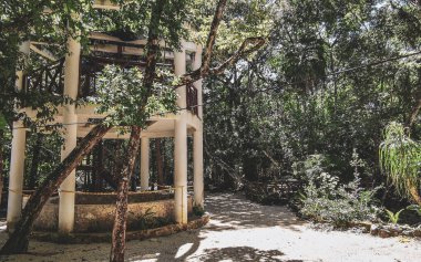 Güzel Cenote Park Yaxmuul 'da, Tulum Quintana Roo Meksiko' da etrafından halatla ip atlama kulesi ve doğa ormanıyla birlikte..