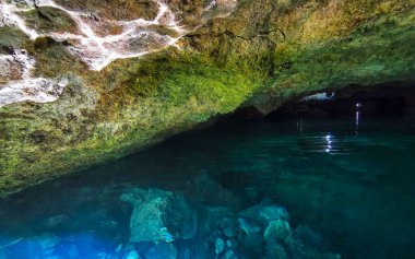 Güzel Cenote Park Yaxmuul 'da kireçtaşı kayalar turkuaz mavi yeşil su ve Tulum Quintana Roo Meksika' da doğa ormanı..