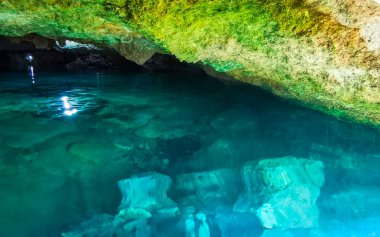 Güzel Cenote Park Yaxmuul 'da kireçtaşı kayalar turkuaz mavi yeşil su ve Tulum Quintana Roo Meksika' da doğa ormanı..