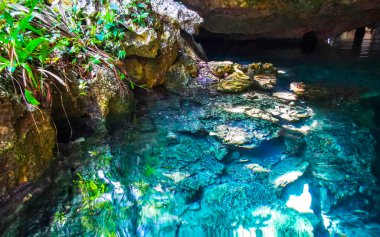 Güzel Cenote Park Yaxmuul 'da kireçtaşı kayalar turkuaz mavi yeşil su ve Tulum Quintana Roo Meksika' da doğa ormanı..