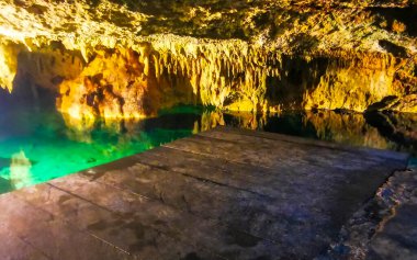 Güzel Cenote Park Yaxmulito ile kireçtaşı kayaları turkuaz mavi yeşil su ve Tulum Quintana Roo Meksika 'daki yeraltı doğa ormanı..