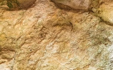 Tulum Quintana Roo Mexico 'da kaba doğal kum ve taş arkaplan dokusu.