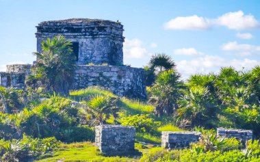 Antik Tulum, Tulum Meksika 'nın tropikal doğal palmiye ağaçları manzarasında rüzgar tanrısının tapınağı ile Maya bölgesini harap eder..