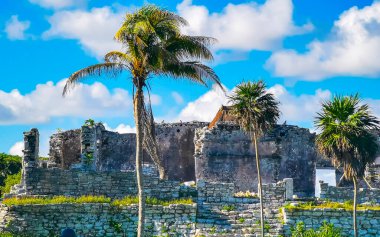 Antik Tulum, Tulum Meksika 'daki tropik doğal orman palmiyeleri manzarasında tapınak kalıntıları ve eserlerle Maya bölgesini harabeye çeviriyor..