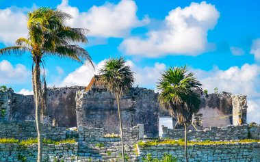 Antik Tulum, Tulum Meksika 'daki tropik doğal orman palmiyeleri manzarasında tapınak kalıntıları ve eserlerle Maya bölgesini harabeye çeviriyor..