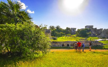 Tulum Quintana Roo Mexico 20. Kasım 2023 Antik Tulum, Tulum Meksika 'daki tropik doğal orman palmiyeleri manzarasında tapınak kalıntıları ve eserlerle Maya bölgesini harap etti..