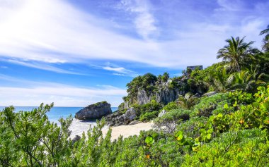 Antik Tulum 'daki doğal deniz manzaralı kayalar, Tulum' daki tropikal doğal orman palmiyesinde tapınak kalıntıları ve sanat eserleriyle Maya bölgesini harabeye çevirir..