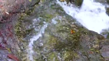 Ton Chongfa Şelalesi ve tropikal orman ve doğa manzarası. Güneydoğu Asya 'da Khao Lak Amphoe Takua Pa Phang Nga Tayland' da yeşil mavi turkuaz suyu..