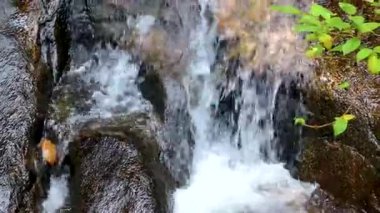 Ton Chongfa Şelalesi ve tropikal orman ve doğa manzarası. Güneydoğu Asya 'da Khao Lak Amphoe Takua Pa Phang Nga Tayland' da yeşil mavi turkuaz suyu..