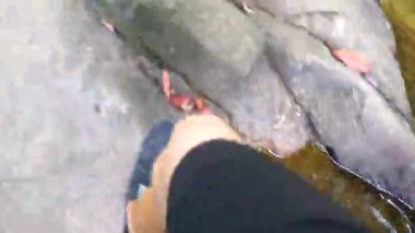 Khao Lak Phang Nga Tayland 08. Şubat 2020 'de Ton Chongfa Şelalesi' nde yürüyüş Khao Lak Amphoe Takua Pa Phang Nga Tayland 'daki tropikal orman ve doğa manzarasında..