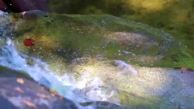 Ton Chongfa Şelalesi ve tropikal orman ve doğa manzarası. Güneydoğu Asya 'da Khao Lak Amphoe Takua Pa Phang Nga Tayland' da yeşil mavi turkuaz suyu..