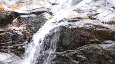 Ton Chongfa Şelalesi ve Güneydoğu Asya 'daki Khao Lak Amphoe Takua Pa Phang Nga Tayland' daki tropikal orman ve doğa manzarası.