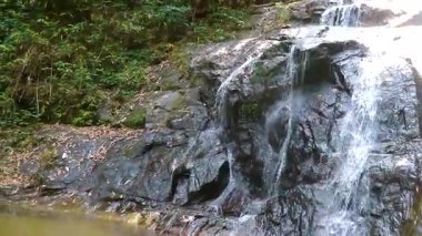 Ton Chongfa Şelalesi ve Güneydoğu Asya 'daki Khao Lak Amphoe Takua Pa Phang Nga Tayland' daki tropikal orman ve doğa manzarası.