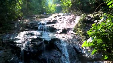 Khao Lak Phang Nga Tayland 08. Şubat 2020 'de Ton Chongfa Şelalesi ve Khao Lak Amphoe Takua Pa Phang Nga Tayland' daki tropikal orman ve doğa parlıyor..