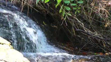 Ton Chongfa Şelalesi ve Güneydoğu Asya 'daki Khao Lak Amphoe Takua Pa Phang Nga Tayland' daki tropikal orman ve doğa manzarası.