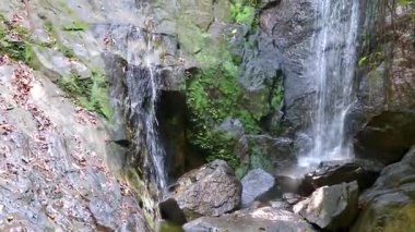 Ton Chongfa Şelalesi ve Güneydoğu Asya 'daki Khao Lak Amphoe Takua Pa Phang Nga Tayland' daki tropikal orman ve doğa manzarası.