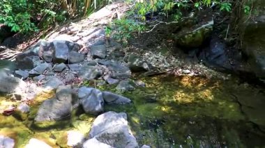 Ton Chongfa Şelalesi ve Güneydoğu Asya 'daki Khao Lak Amphoe Takua Pa Phang Nga Tayland' daki tropikal orman ve doğa manzarası.