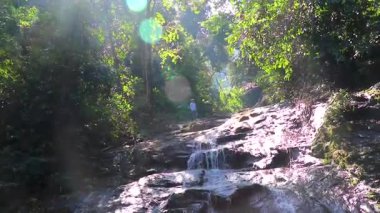 Khao Lak Phang Nga Tayland 08. Şubat 2020 'de Ton Chongfa Şelalesi ve Khao Lak Amphoe Takua Pa Phang Nga Tayland' daki tropikal orman ve doğa parlıyor..