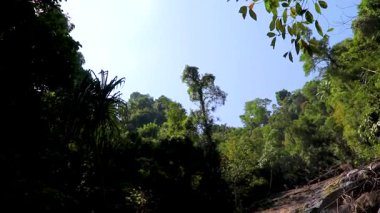 Ton Chongfa Şelalesi ve Güneydoğu Asya 'daki Khao Lak Amphoe Takua Pa Phang Nga Tayland' daki tropikal orman ve doğa manzarası.
