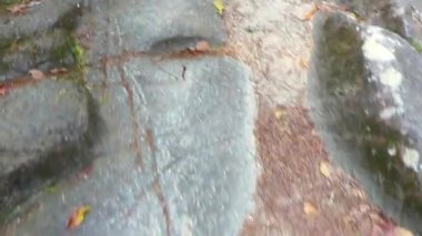 Khao Lak Phang Nga Tayland 08. Şubat 2020 Khao Lak Tayland 'daki tropikal orman ve doğa manzarasında Ton Chongfa Şelalesi' nde yürüyüş ve denge tahtadan bir kirişin üzerinde..