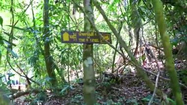 Khao Lak Phang Nga Tayland 08. Şubat 2020 Ton Chongfa Şelalesi Seviye 4 yön ve işaret levhası Khao Lak Amphoe Takua Pa Phang Nga Tayland.