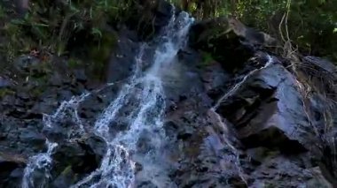 Sai Rung Şelalesi ve Güneydoğu Asya 'daki Khao Lak Amphoe Takua Pa Phang Nga Tayland' daki tropikal orman ve doğa manzarası.