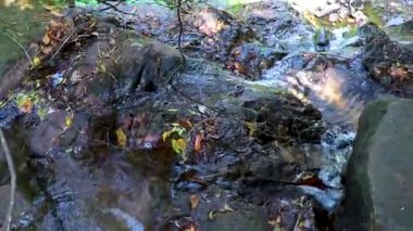 Sai Rung Şelalesi ve Güneydoğu Asya 'daki Khao Lak Amphoe Takua Pa Phang Nga Tayland' daki tropikal orman ve doğa manzarası.