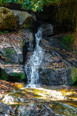 Ton Chongfa Şelalesi ve Güneydoğu Asya 'daki Khao Lak Amphoe Takua Pa Phang Nga Tayland' daki tropikal orman ve doğa manzarası.