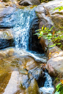 Ton Chongfa Şelalesi ve Güneydoğu Asya 'daki Khao Lak Amphoe Takua Pa Phang Nga Tayland' daki tropikal orman ve doğa manzarası.