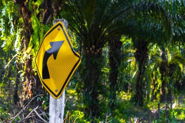 Güneydoğu Asya 'daki Khao Lak Amphoe Takua Pa Phang Nga Tayland' da sağdaki tropikal ormanda sarı yol işareti..