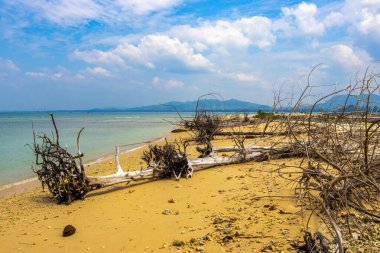 Khao Lak Amphoe Takua Pa Phang Nga Tayland 'da ölü mercan kabukları, midye kabukları ve ölü ağaçlarla kaplı Pakistan Burnu tropik cennet plaj manzarası..