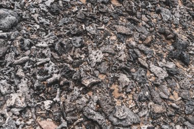 Khao Lak Takua Pa Phang Nga Tayland 'da ölü mercan kabukları ve midye desenli Pakistan Burnu tropik cennet plaj manzarası.