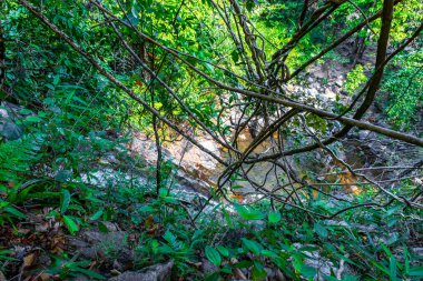 Sai Rung Şelalesi ve Güneydoğu Asya 'daki Khao Lak Amphoe Takua Pa Phang Nga Tayland' daki tropikal orman ve doğa manzarası.
