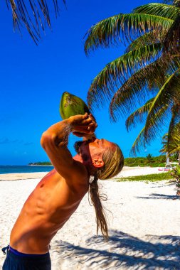 Playa del Carmen Quintana Roo Meksika sahilinde hindistan cevizi içen bir adam..