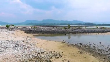 Pakarang Burnu tropik cennet plaj denizi ve kıyısı ölü mercanlar midye ve deniz kabukları Khao Lak Amphoe Takua Pa Phang Nga Tayland, Güneydoğu Asya.