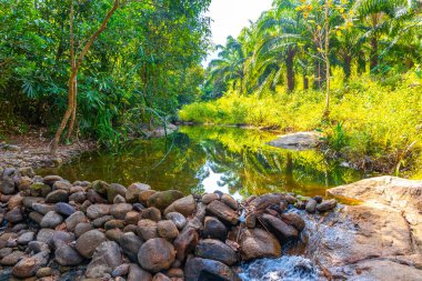 Güneydoğu Asya 'daki Khao Lak Amphoe Takua Pa Phang Nga Tayland' daki yağmur ormanlarındaki tropik buhar nehri gölü ve gölet..