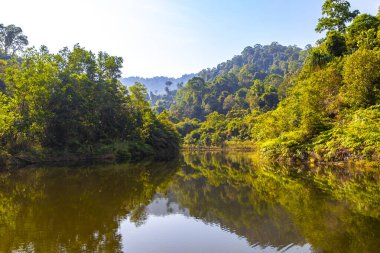 Güneydoğu Asya 'daki Khao Lak Amphoe Takua Pa Phang Nga Tayland' daki yağmur ormanlarındaki tropik buhar nehri gölü ve gölet..