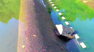 Güneydoğu Asya 'daki Khao Lak Amphoe Takua Pa Phang Nga Tayland' daki yağmur ormanlarındaki tropik baraj nehri gölü ve gölet..